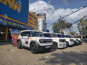 roadshow xe ô tô điện